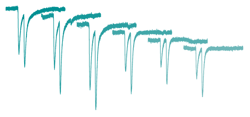 Cs-Gluc Representative Trace
