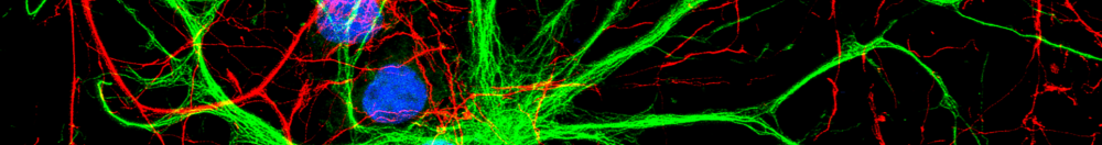 Hello Bio Protocol Header