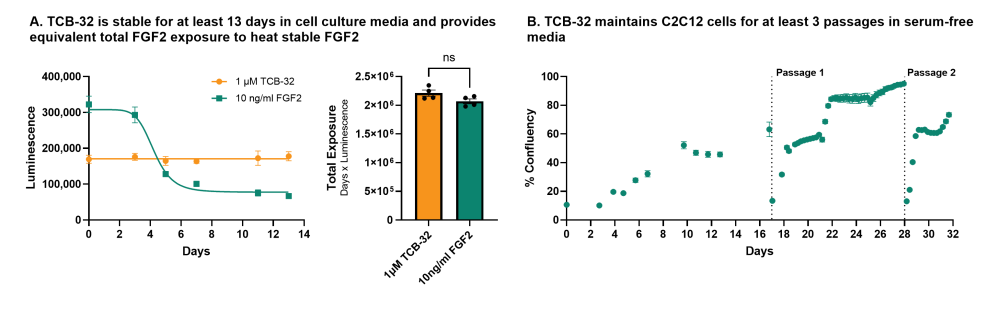 TCB-32 vs FGF2: Stability, Total Exposure, and Confluency Comparison
