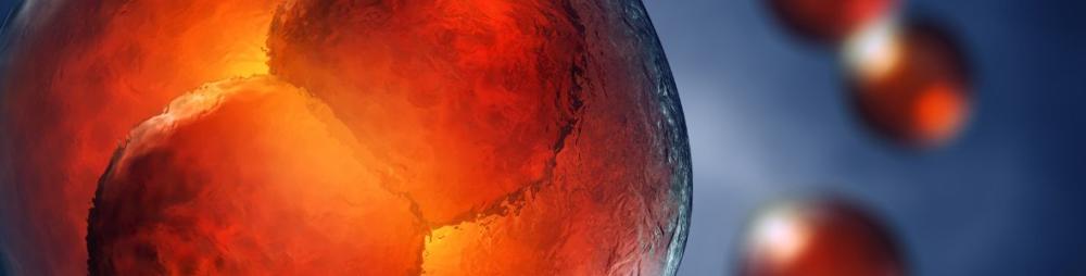 Chemogenetic control of neural activity using DREADDs ligands for neuroscience research