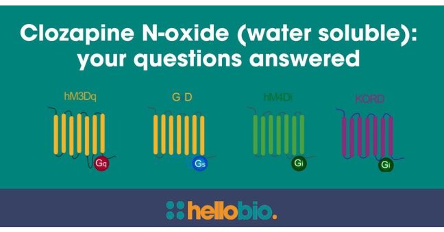 Clozapine N-oxide (water soluble) - all your questions answered!