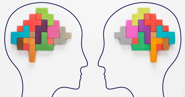 A Plastic Brain and the Malleability of Bias: Using Neuroscience to Address Underrepresentation in STEM