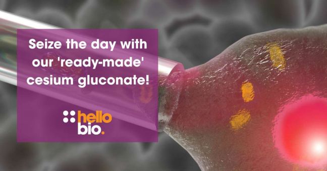 Cesium gluconate - 'ready made' for intracellular solutions