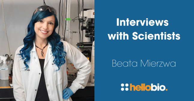 Interviews with Scientists: Beata Mierzwa