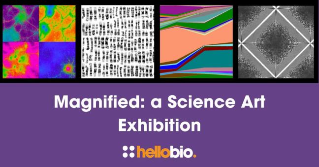 Introducing Magnified: a science art exhibition