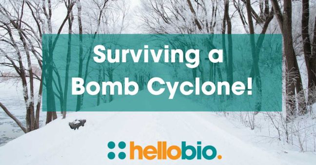 Surviving a Bomb Cyclone: Tales from the US Office