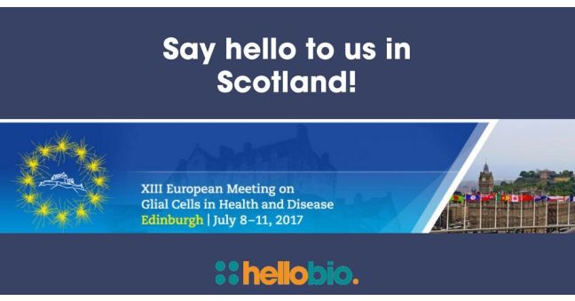 Say hello at the XIII European Meeting on Glial Cells in Health and Disease