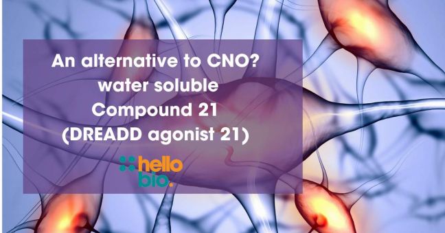 An alternative to CNO? Water soluble Compound 21 (DREADD agonist 21)