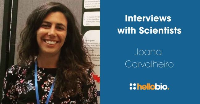 Interviews with Scientists: Joana Carvalheiro