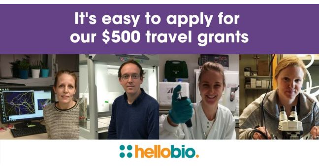 Apply for our travel awards - it's easy!