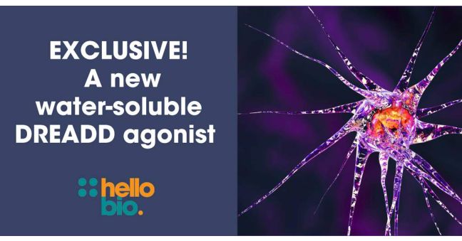 Perlapine hydrochloride - an exclusive new DREADD ligand