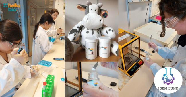 iGEM 2024: The Race to Reduce Methane Emissions