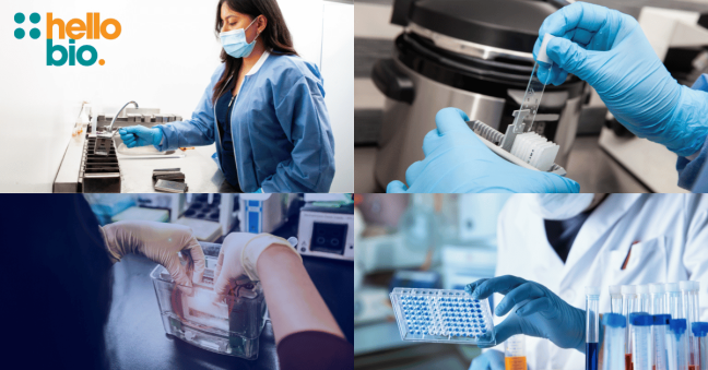 6 Essential Protocols for Life Science Researchers