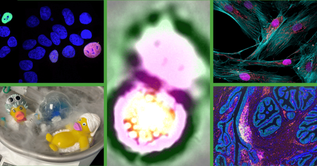 Congratulations to our Science Snapshots Winner!