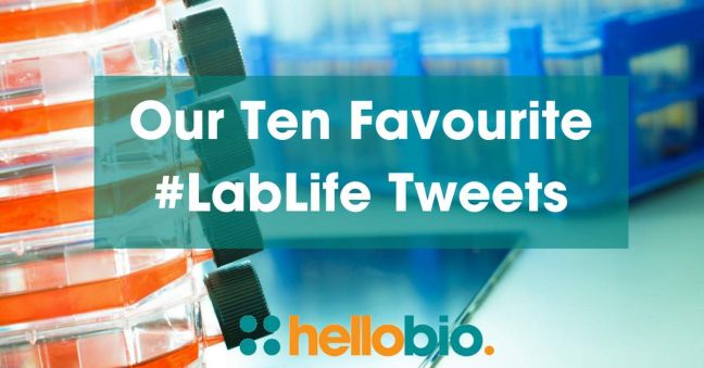 Our Ten Favourite #LabLife Tweets