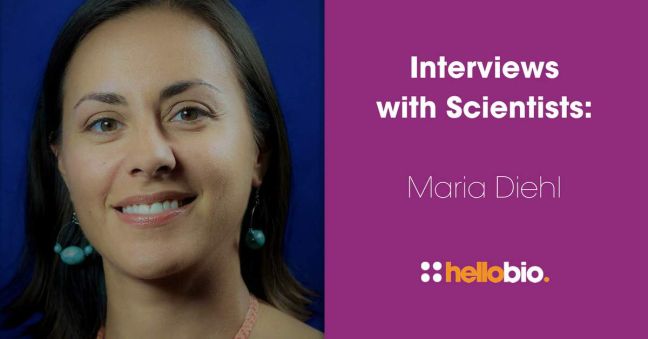 Interviews with Scientists: Maria Diehl
