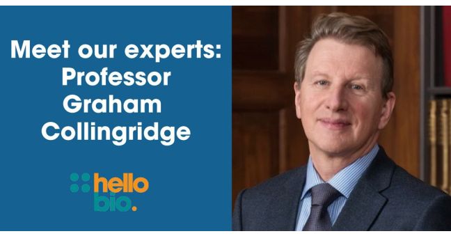 Meet our experts: Professor Graham Collingridge