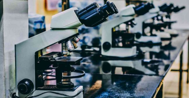 Why We Need to Make Biomedical Research More Open