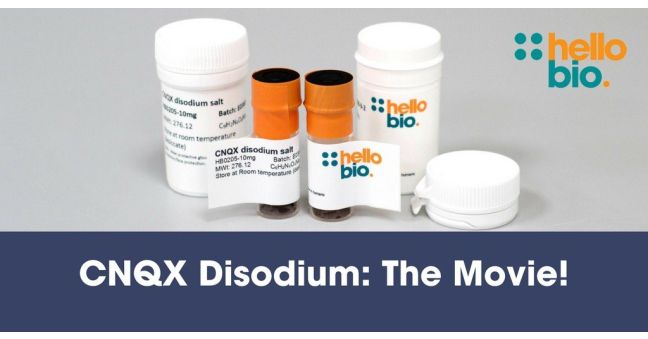 CNQX Disodium Salt - the Movie!