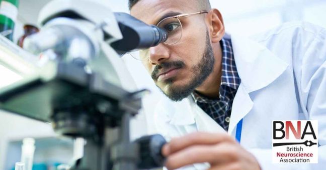 Why We Need ‘Credibility in Neuroscience’