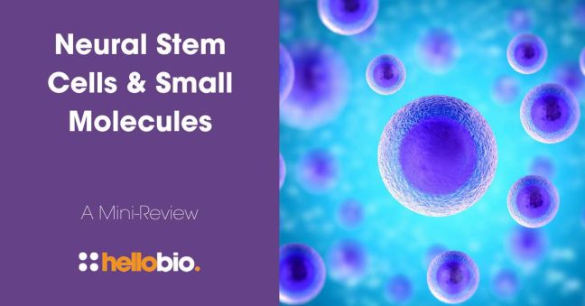 Review on Neural Stem Cells & Small Molecules