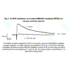 D-AP5 inhibition of NMDA receptor mediated EPSCs