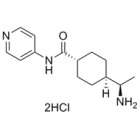 ROCK inhibitor Y-27632