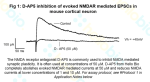 D-AP5 inhibition of NMDA receptor mediated EPSCs