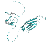 Recombinant human Neuregulin-1-B1 / NRG1-B1 protein