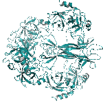 Recombinant mouse beta-NGF protein
