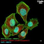 Janelia Fluor® 549 NHS Ester (Succinimidyl Ester)