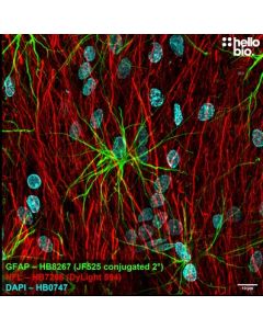 Janelia Fluor® 525 NHS Ester (Succinimidyl Ester)