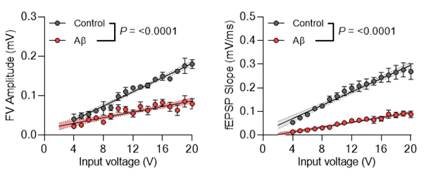 β-Amyloid Peptide (1-42) (human) (HB9805) testing