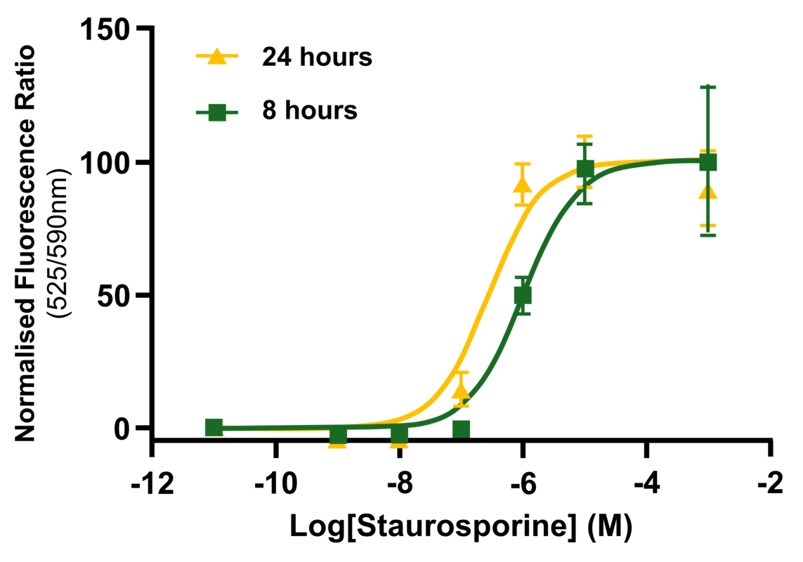 Figure 1. Effects of staurosporine upon HeLa mitochondrial membrane potential
