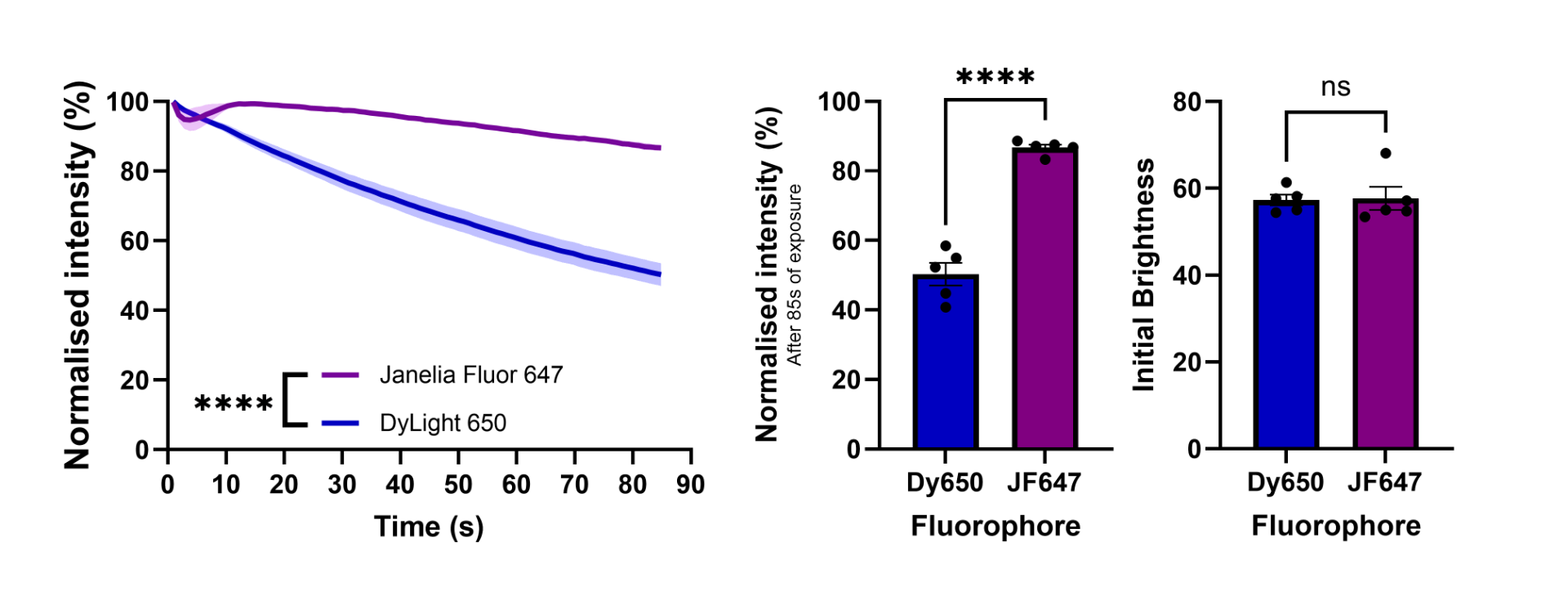 Figure 4. Janelia Fluor&reg; 646 conjugated secondary antibodies show superior antifade performance with equivalent brightness compared to those conjugated with DyLight 650