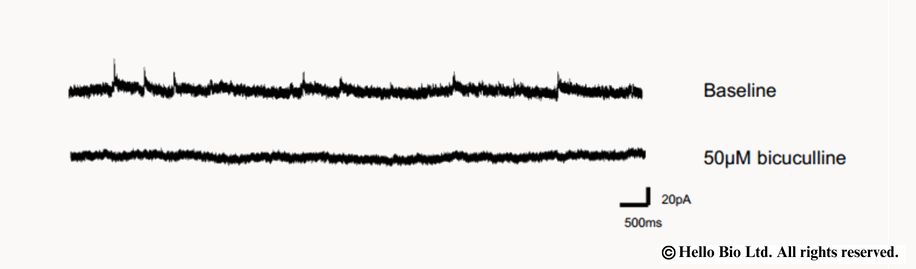 Figure 2. Bicuculline methiodide inhibition of spontaneous IPSCs in cultured
rat cortical neurons