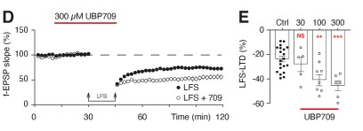 Figure 1. UBP709 is a pan-PAM that potentiates LTD