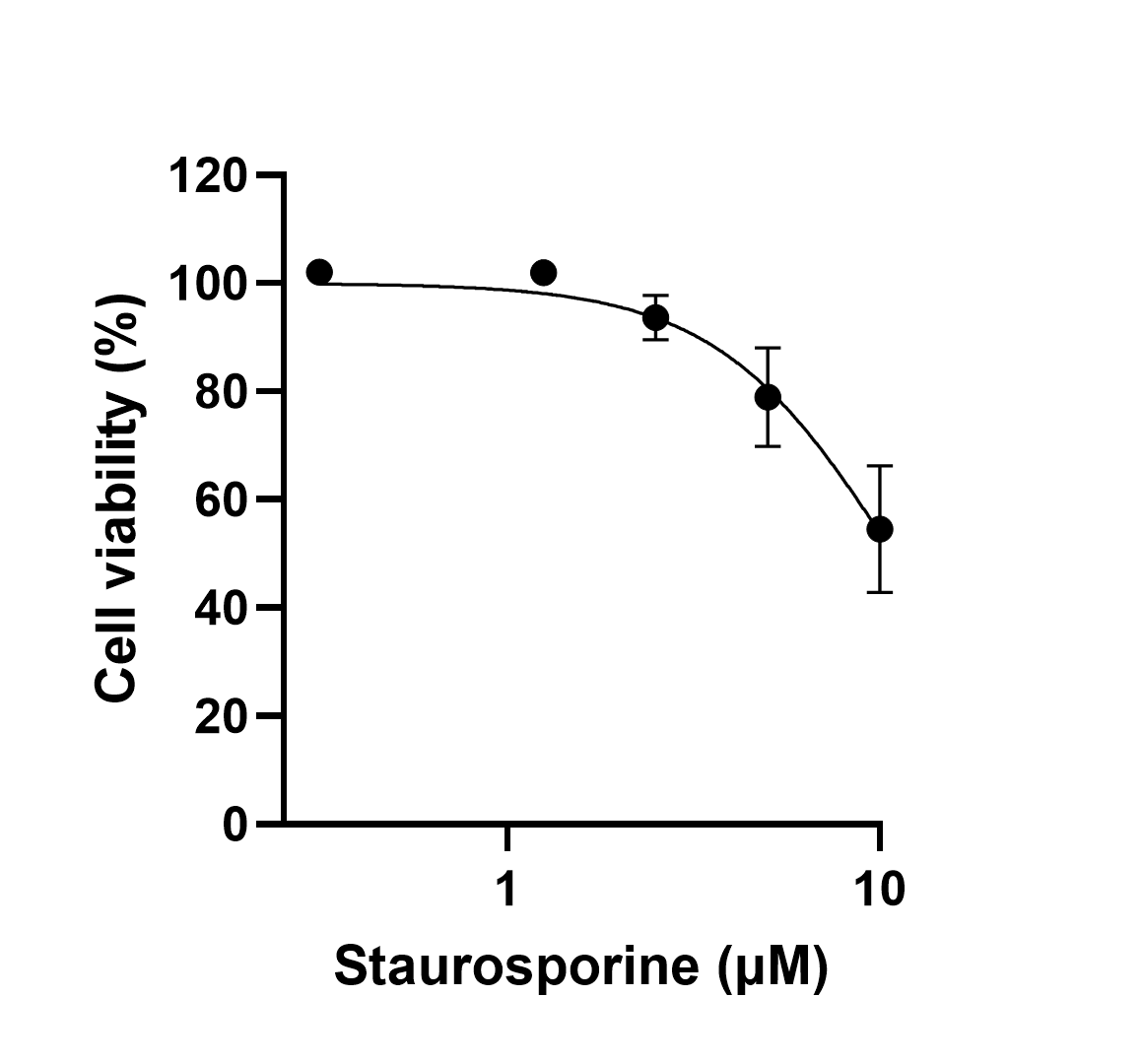 Cytotoxicity test of Staurosporine on HEK293T cells