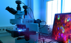 Hello Bio announces the launch of a novel cutting-edge range of adenosine receptor probes for cancer & cardiovascular research.