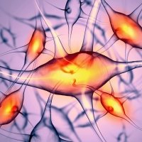 Hello Bio launches novel water-soluble high potency DREADD ligands, licensed from the NIH