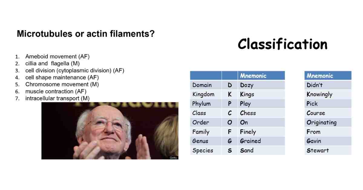 An example of lectures over the years, including much loved self-deprecating humour.