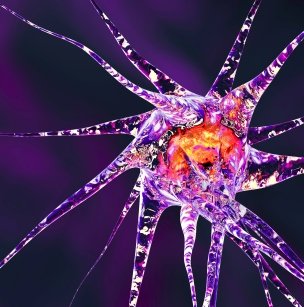 GABA receptor research tools GABA research tools