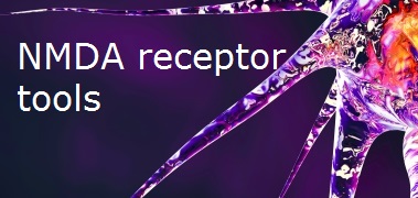 NMDA receptor agonists, antagonists and modulators NMDA receptor agonists, antagonists and modulators