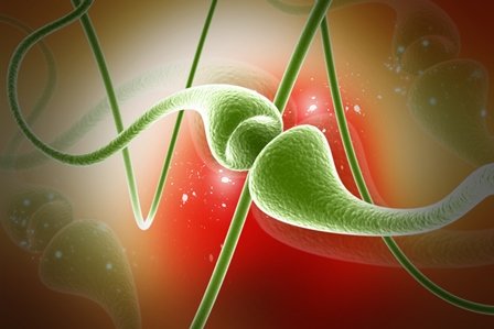 GABA receptor agonists, antagonists and modulators gaba receptor synapse