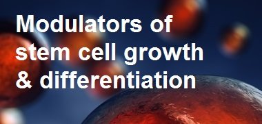 stem cell research tools stem cell research tools