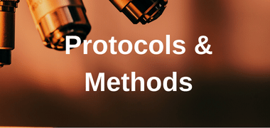 Browse by Product Type Protocols & Methods