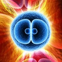 Estrogen receptor research tools estrogen receptor research tools