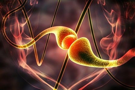 JF-NP-26 (Caged-Raseglurant) Synapse