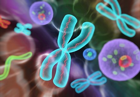 Small molecules for genome editing Small molecules for genome editing